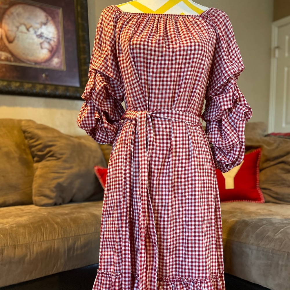 Zara red gingham ruffle dress